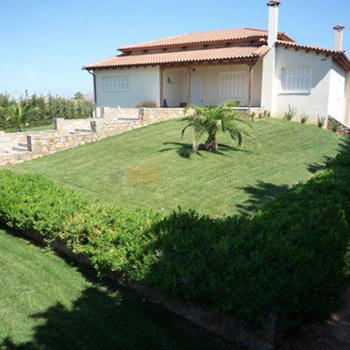 Εξωτερική όψη - Outdoor view